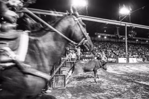 Photographie de rodéo prise lors du Festival Western de St-Tite 2012, montrant l’intensité de la compétition et l’ambiance emblématique du festival.