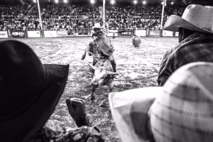 Photographie de rodéo prise lors du Festival Western de St-Tite 2012, montrant l’intensité de la compétition et l’ambiance emblématique du festival.