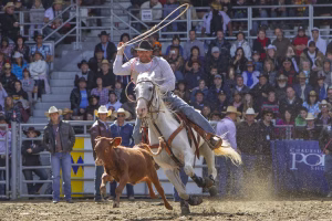 Photographie de rodéo prise lors du Festival Western de St-Tite 2012, montrant l’intensité de la compétition et l’ambiance emblématique du festival.