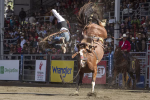 Photographie de rodéo prise lors du Festival Western de St-Tite 2012, montrant l’intensité de la compétition et l’ambiance emblématique du festival.