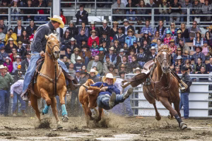 Photographie de rodéo prise lors du Festival Western de St-Tite 2012, montrant l’intensité de la compétition et l’ambiance emblématique du festival.