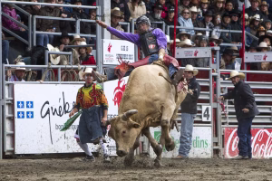 Photographie de rodéo prise lors du Festival Western de St-Tite 2012, montrant l’intensité de la compétition et l’ambiance emblématique du festival.