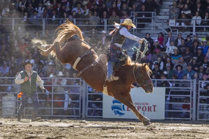 Photographie de rodéo prise lors du Festival Western de St-Tite 2012, montrant l’intensité de la compétition et l’ambiance emblématique du festival.