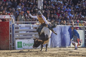 Photographie de rodéo prise lors du Festival Western de St-Tite 2012, montrant l’intensité de la compétition et l’ambiance emblématique du festival.