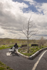 Vue printanière des vallons et sentiers du parc Frédéric-Back à Montréal, révélant la transformation écologique de l'ancienne carrière de Saint-Michel.