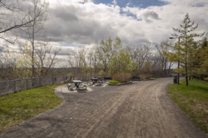 Vue printanière des vallons et sentiers du parc Frédéric-Back à Montréal, révélant la transformation écologique de l'ancienne carrière de Saint-Michel.