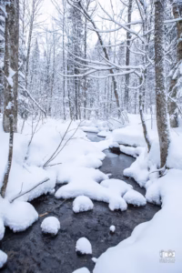 scène d'hiver