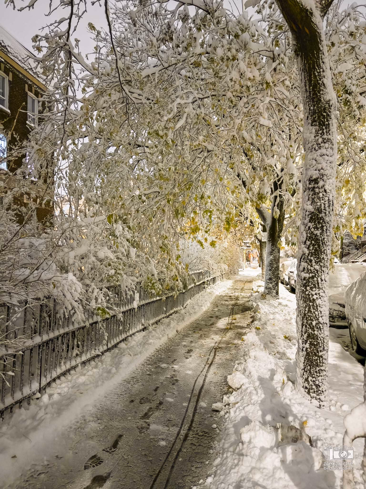 nuit de neige