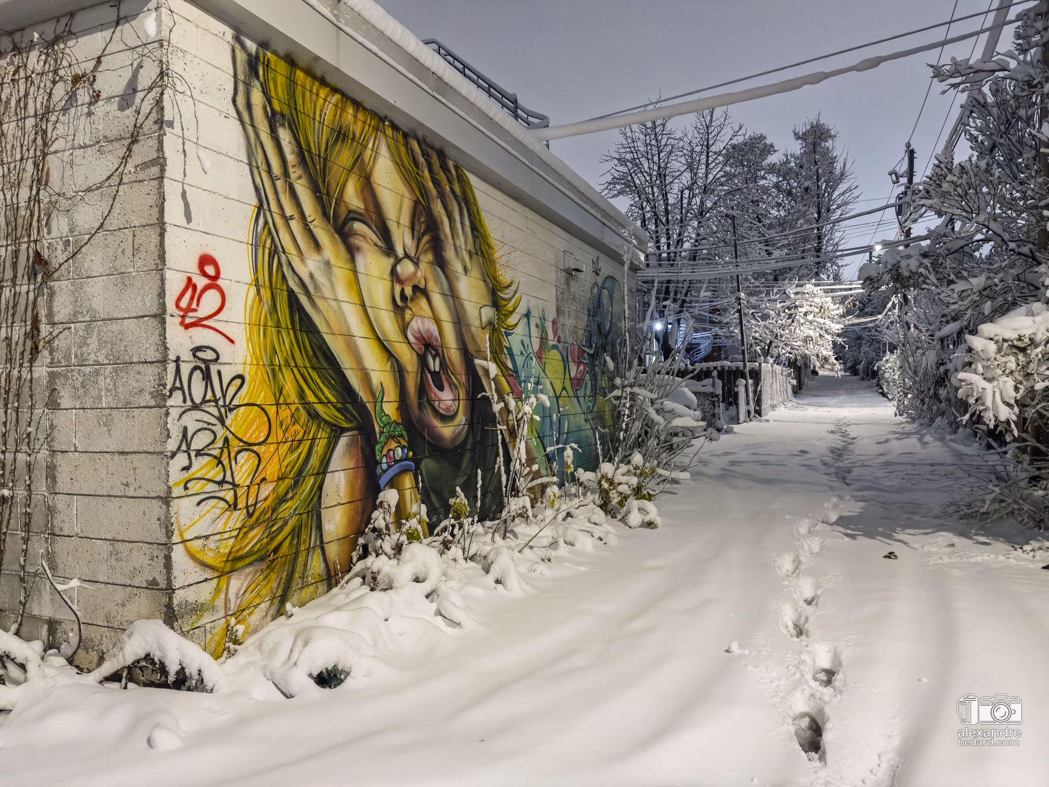 murale dans un ruelle de Montréal un soir de neige