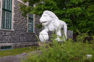 Le lion de l'église, qui signifie que l'église est payée. Visite guidée de l'église avec le prêtre de la paroisse