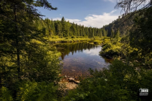 Paysage dans le parc de la Mauricie
