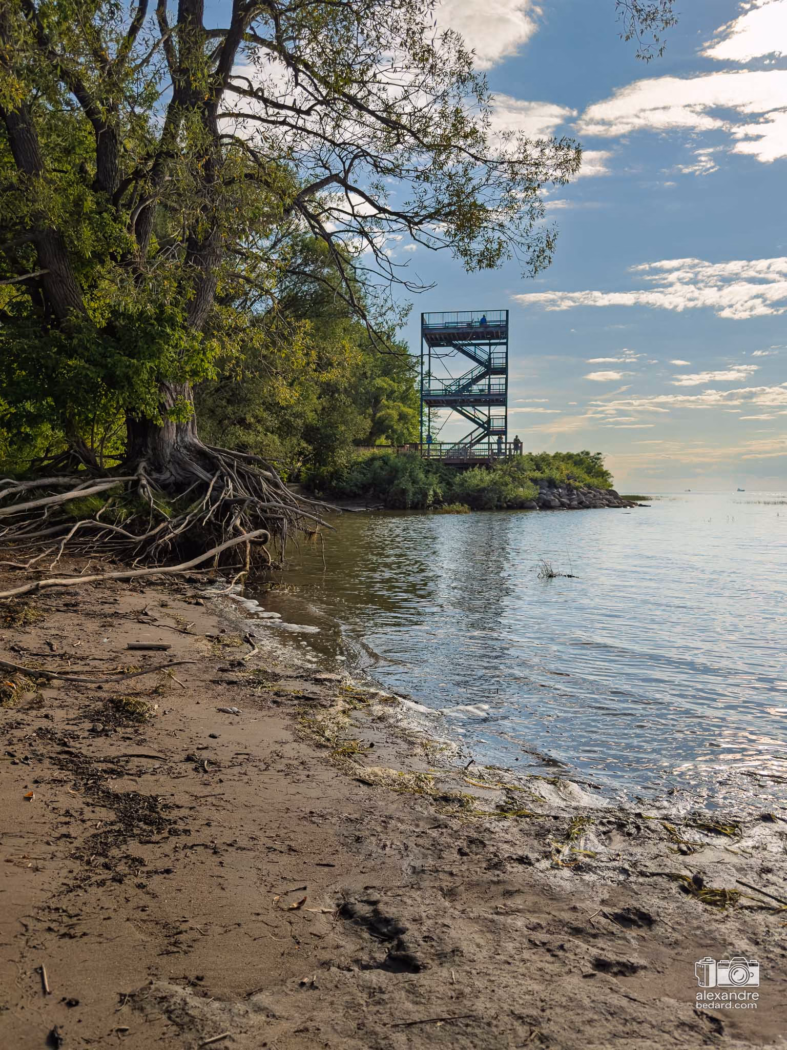 Structure en bois de la tour d'observation de 12,3 mètres de hauteur à Nicolet.