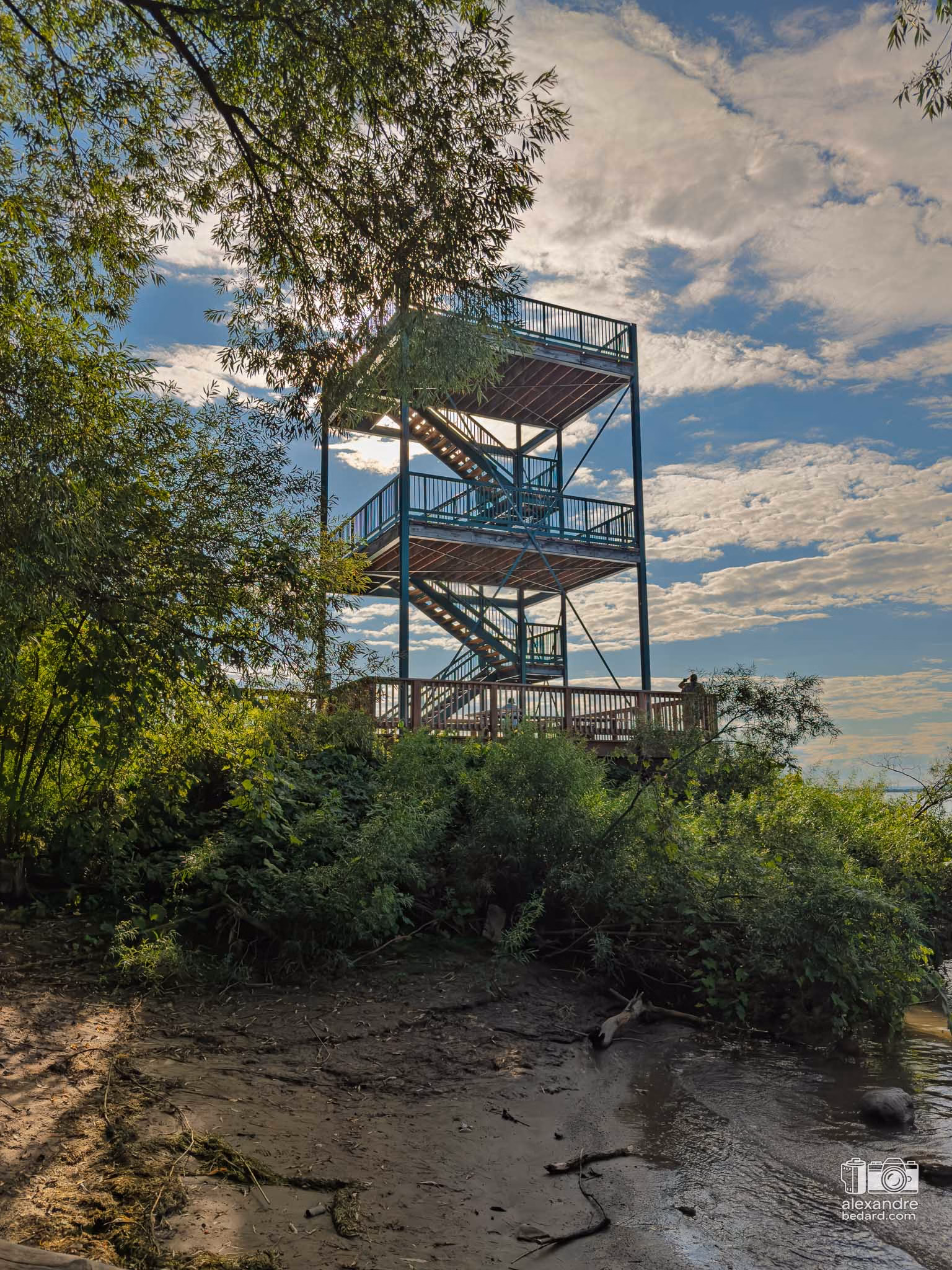 Structure en bois de la tour d'observation de 12,3 mètres de hauteur à Nicolet.