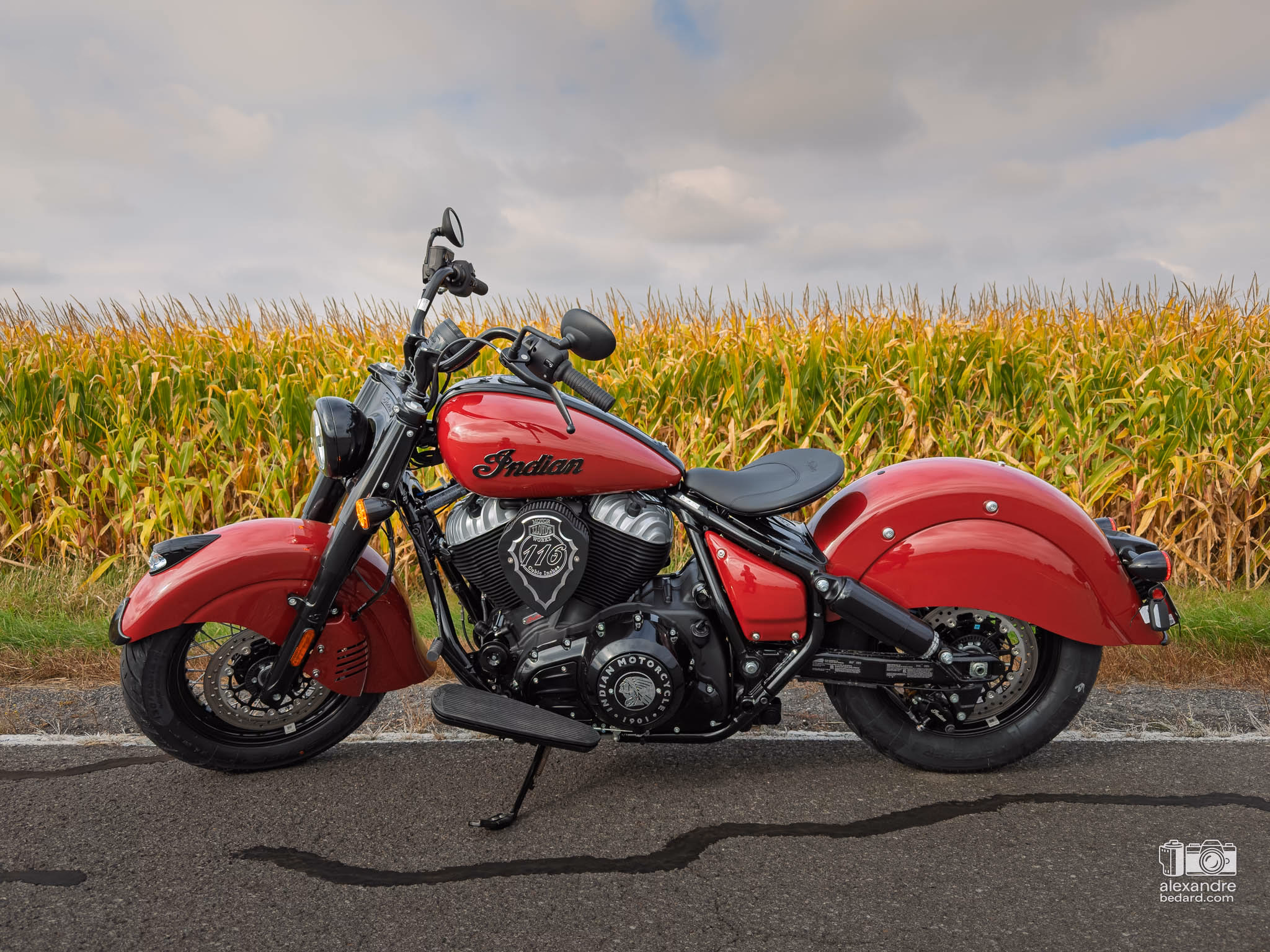 Moto Indian chief vintage dans un chemin tranquille du Québec en face de plan de mais à l'automne.