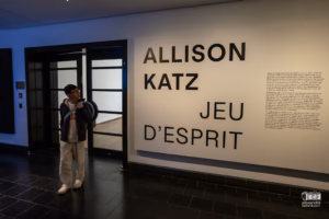 Tableau d'Allison Katz exposé dans une salle lumineuse du Musée des beaux-arts de Montréal.